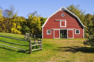 The Versatility of American Barn Sheds